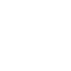 social media marketing icon
